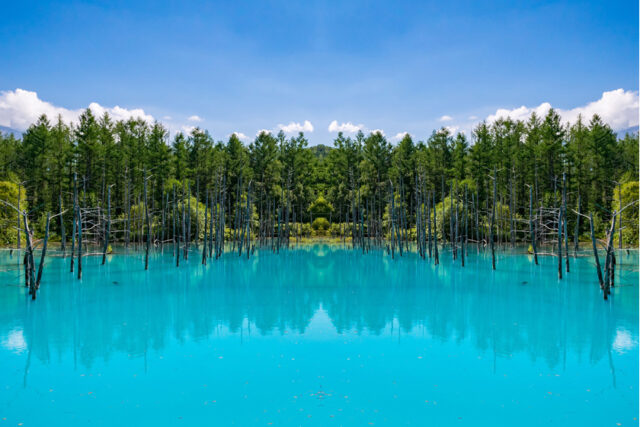 北海道の 青い池 ベストショットが撮れる時間帯や混雑しにくい時間は 旭川 札幌からのアクセス方法も紹介 旅pocket 北海道の 青い池 ベストショットが撮れる時間帯や混雑しにくい時間は 旭川 札幌からのアクセス方法も紹介 旅pocket