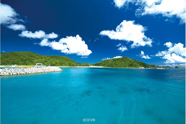 沖縄 座間味島 魅力を徹底解説 世界中を魅了する ケラマブルーの海 でシュノーケリングを 旅pocket